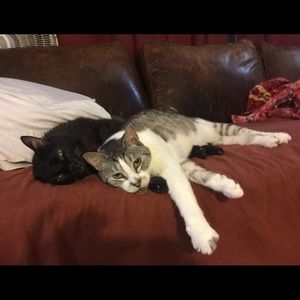 Meet your Posher, Donna